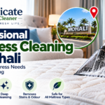 Dry Cleaning delicate